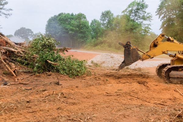 Cost of Ground Clearing in Lawrenceville