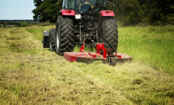 Cost of Brush Clearing Service in Lawrenceville