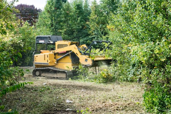 Cost of Pathway Clearing in Lawrenceville