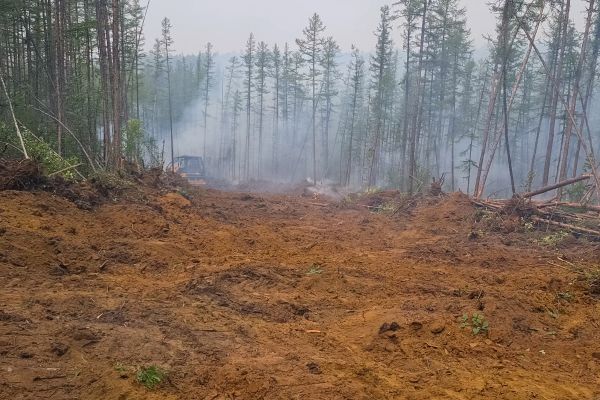 Cost of Hill Clearing in Lawrenceville