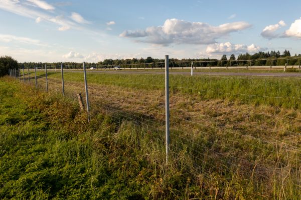 Cost of Property Line Clearing in Lawrenceville