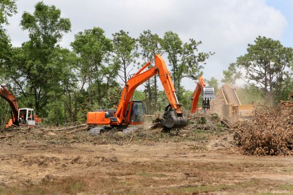 Cost of Commercial Lot Clearing in Lawrenceville