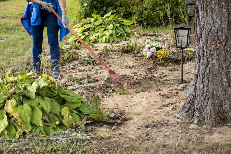 Weather Considerations